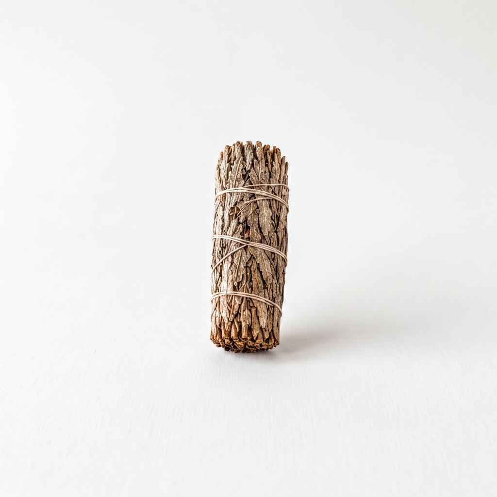 A bundle of sticks tied together, standing alone against a plain white background.