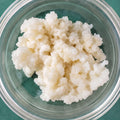 Milk Kefir Grains - Live Organic Culture | Heirloom Probiotic | 1 Tbsp Fresh Home Ferment Kit