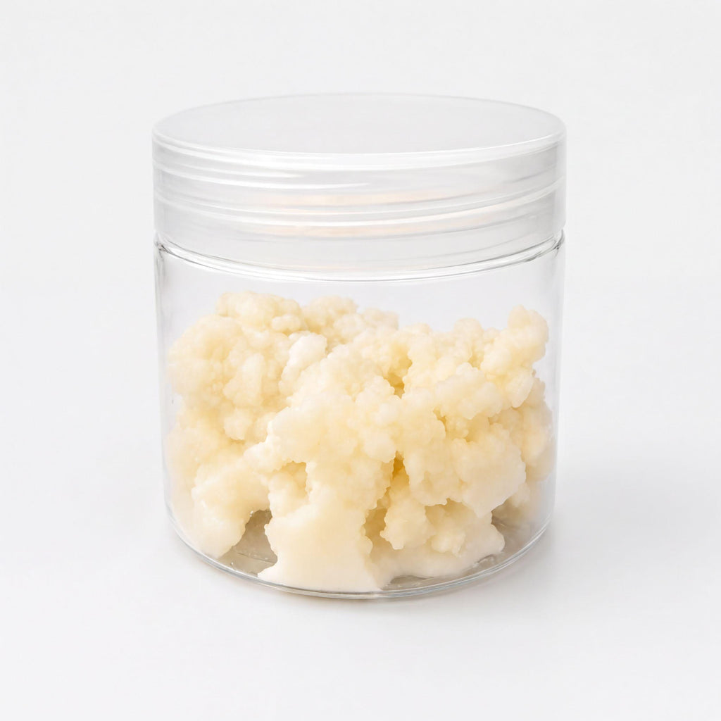 Milk Kefir Grains - Live Organic Culture | Heirloom Probiotic | 1 Tbsp Fresh Home Ferment Kit