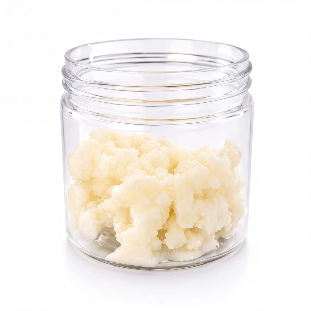 Milk Kefir Grains - Live Organic Culture | Heirloom Probiotic | 1 Tbsp Fresh Home Ferment Kit