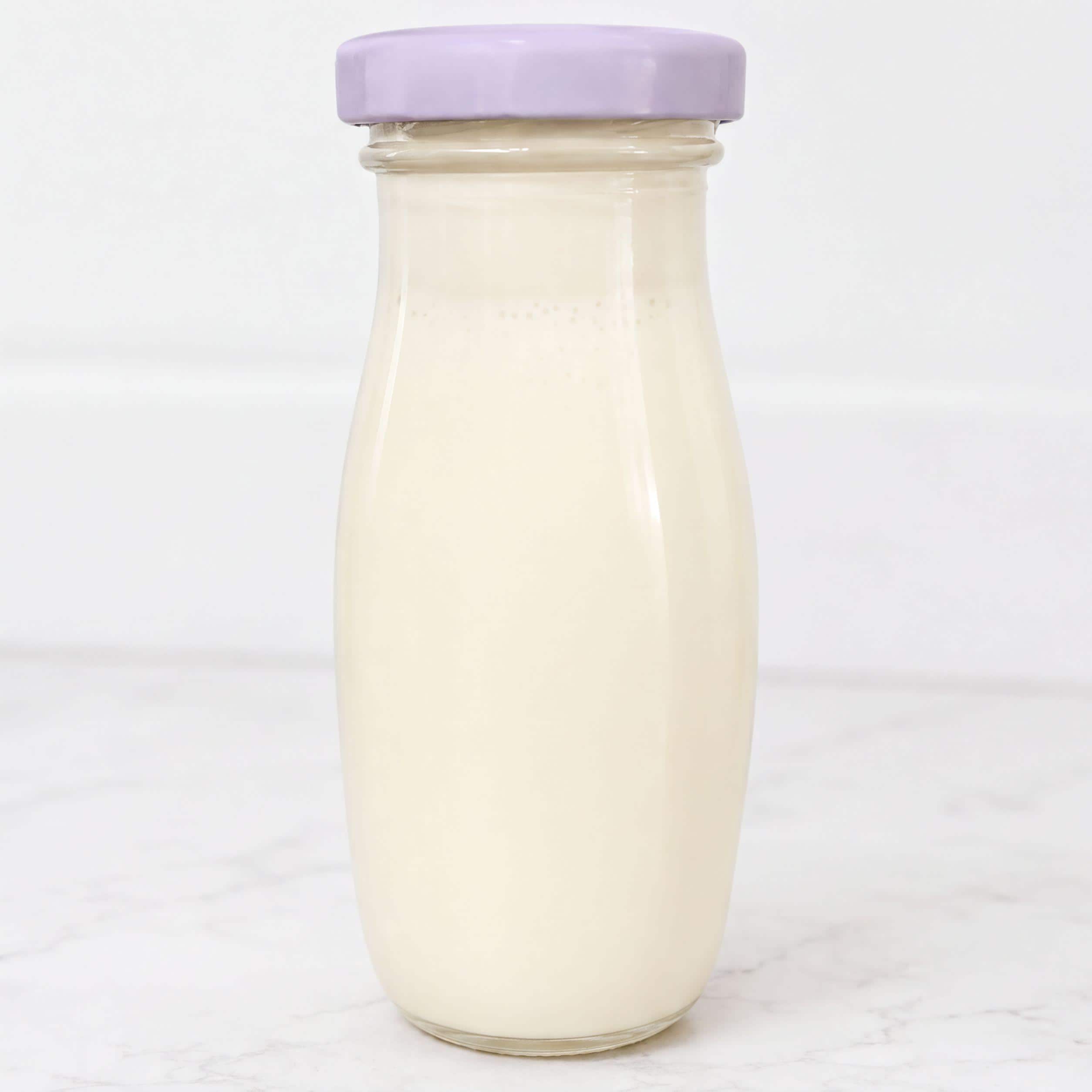 Milk Kefir Grains - Live Organic Culture | Heirloom Probiotic | 1 Tbsp Fresh Home Ferment Kit