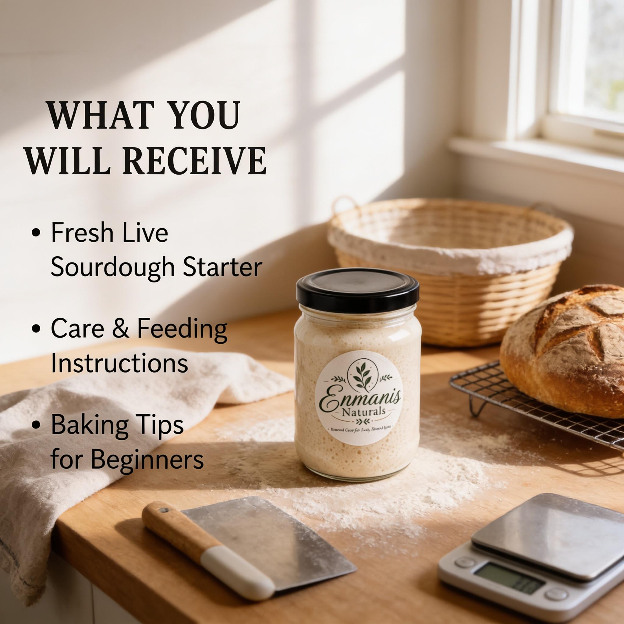 Sourdough Starter, Live Culture | Fresh Artisan Bread Base | Wheat Flour, Water, Wild Yeast