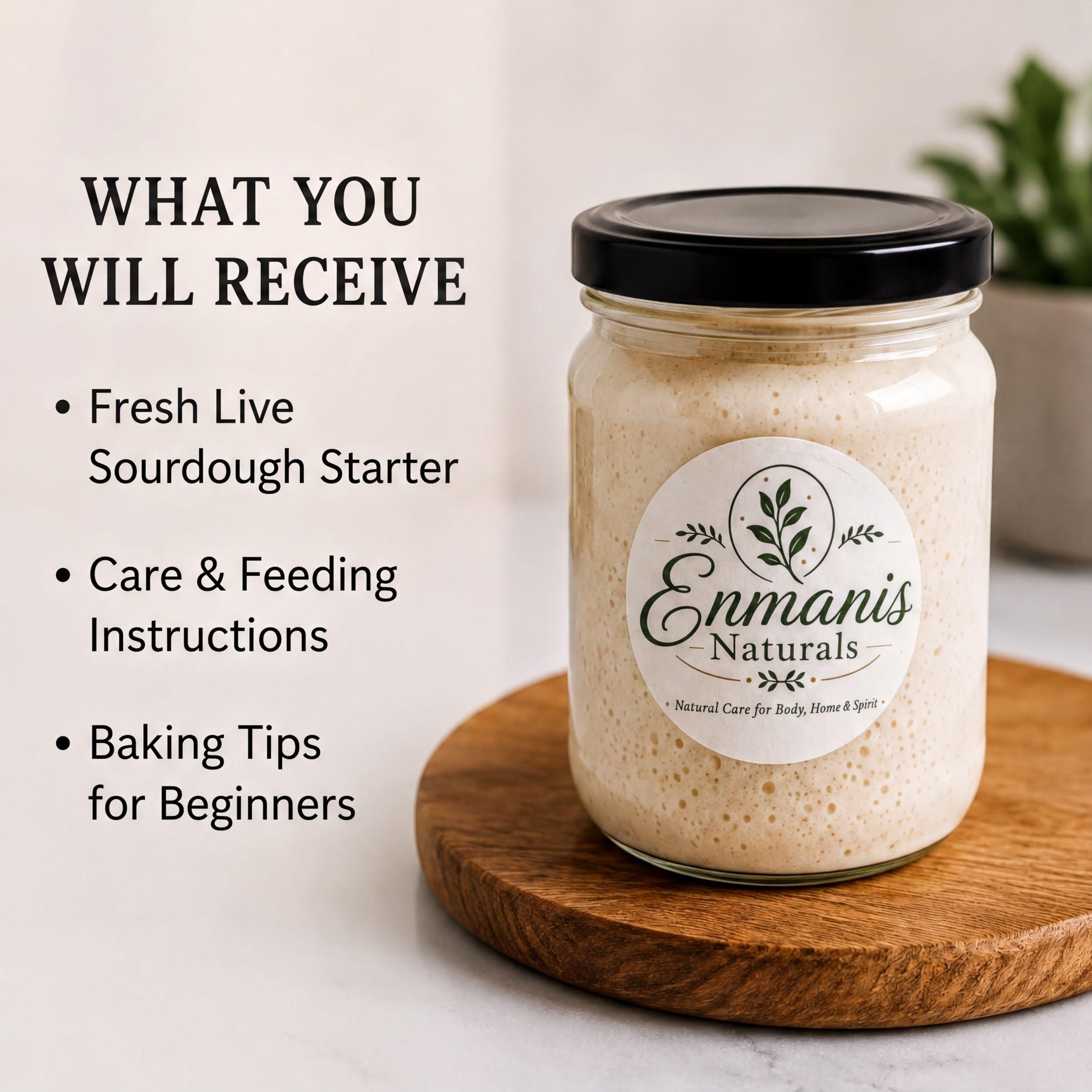 Sourdough Starter, Live Culture | Fresh Artisan Bread Base | Wheat Flour, Water, Wild Yeast