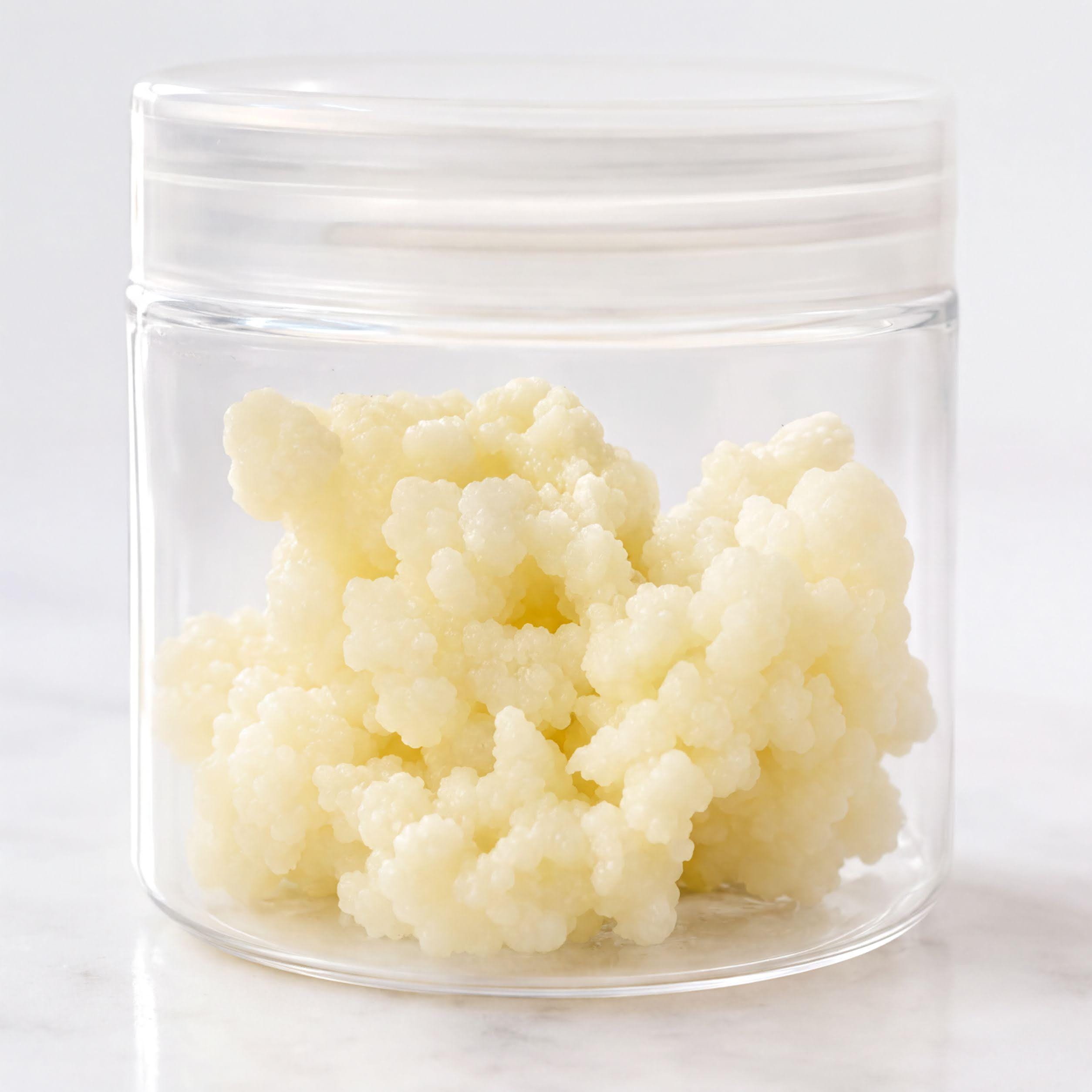 Milk Kefir Grains - Live Organic Culture | Heirloom Probiotic | 1 Tbsp Fresh Home Ferment Kit