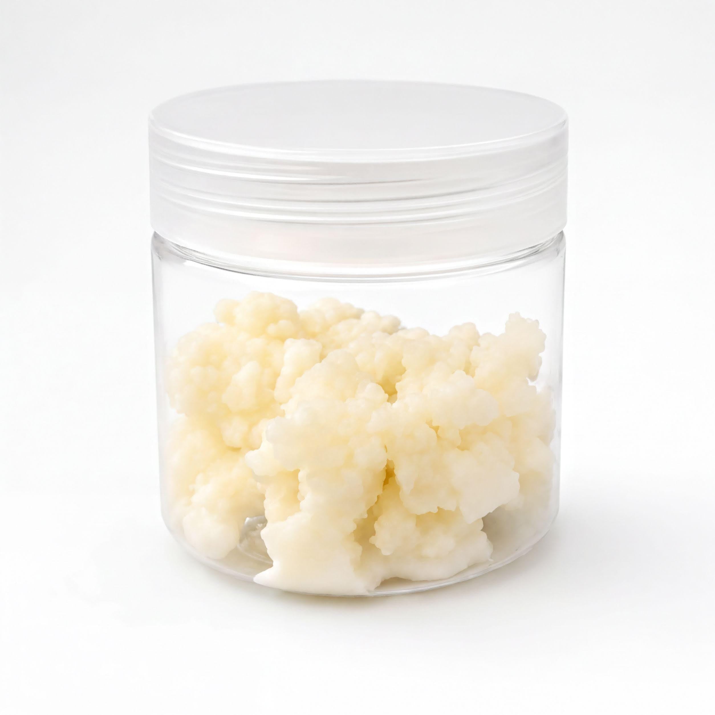 Milk Kefir Grains - Live Organic Culture | Heirloom Probiotic | 1 Tbsp Fresh Home Ferment Kit