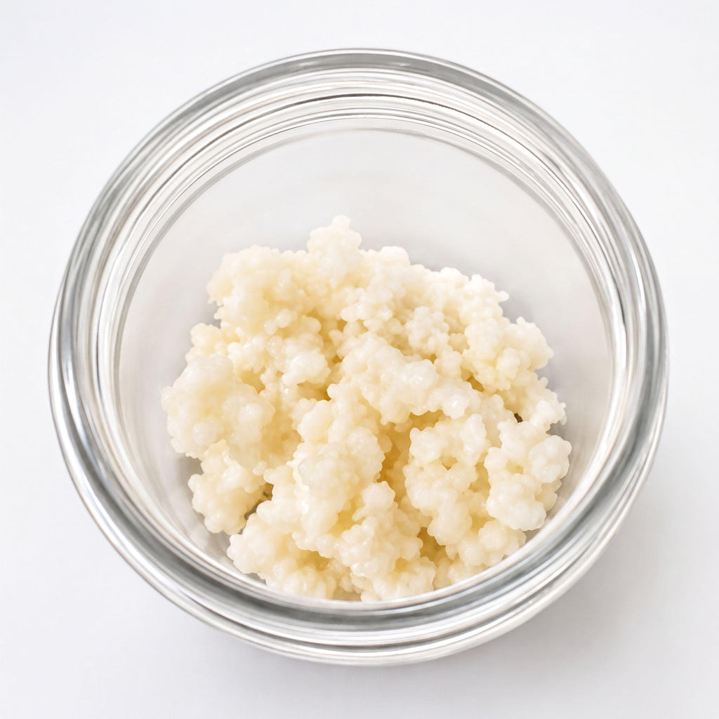 Milk Kefir Grains - Live Organic Culture | Heirloom Probiotic | 1 Tbsp Fresh Home Ferment Kit