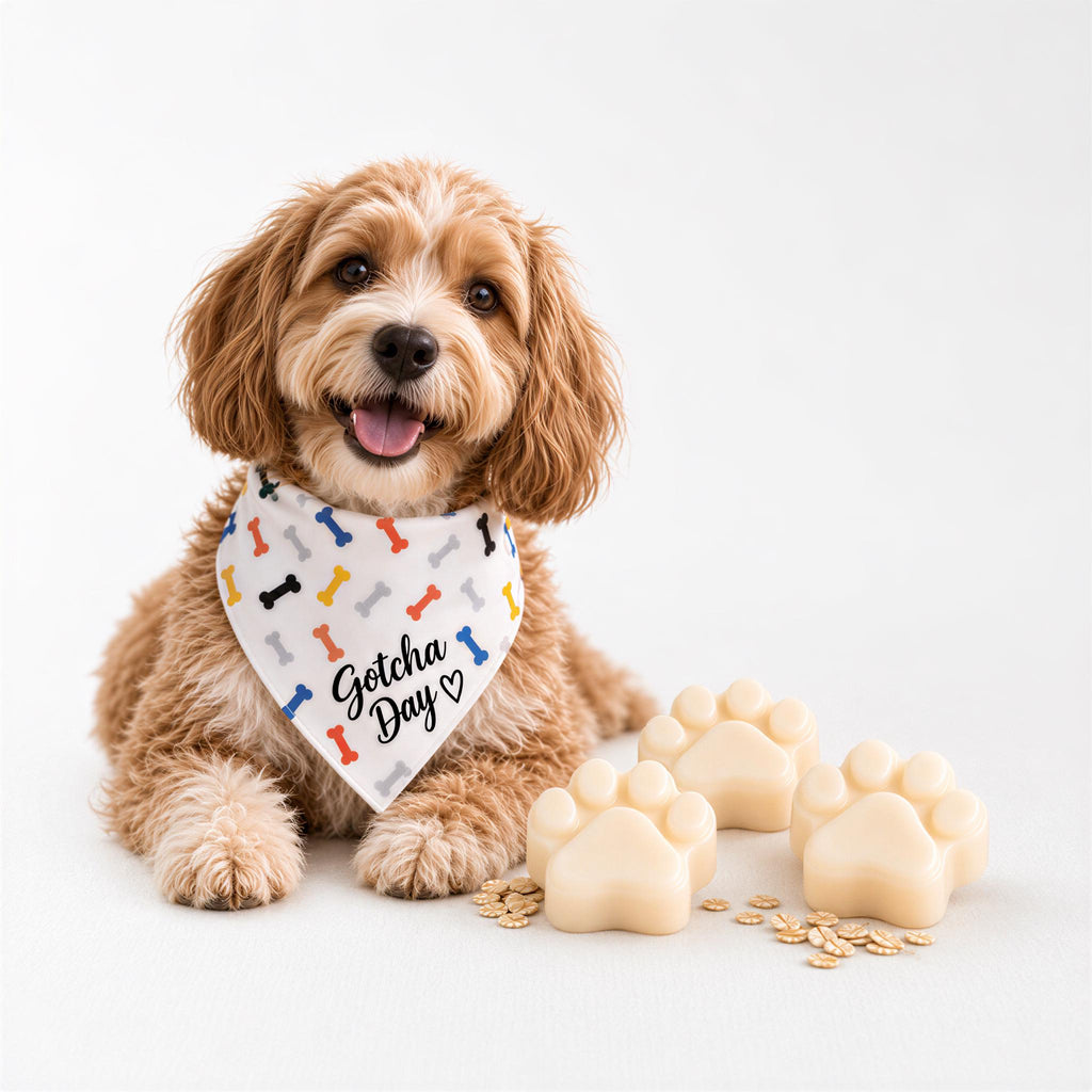 Gotcha Day Gift, Personalized Puppy Bandana | Goat Milk Soap Trio | Sensitive Skin, Small-XL Bundle